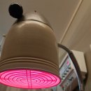 해유한의원 | 안양 평촌 다이어트 관리 한의원 (다이어트 D+14)