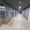 강남-190 이미지