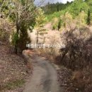 낙안면 행정복지센터 이미지