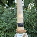 창평세차장 | 26.2.28. 뭐가 그렇게 바빠서 2월 내내 블로그에 글을 하나도 못썼담