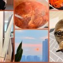 나라 씨 푸드 이미지