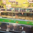 하나로 플라워 수족관 이미지