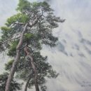 중2동-22 이미지