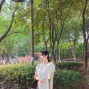 루-핏 | 더웨이나인 리본 타이 스카프블라우스 라운드 여리핏 반소매 셔츠 루에르 후기