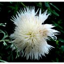 술마시기좋은날 이미지