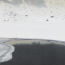 이설아 카카오 검색결과