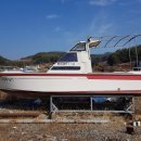 김봉만 카카오 검색결과