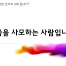 베드로목장2 이미지