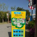 동양기사식당 | 레고랜드 푸드코트 (26년 4월 후기)