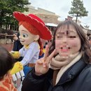 주식회사 동심 | 도쿄 디즈니랜드 코스 추천 dpa 40주년 패스 활용후기