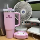 체리블러썸 | 퀜처 H2.0 플로우스테이트 텀블러 887ml 체리블러썸 내돈내산 후기 / 스탠리 체리블로썸 내돈내산 후기