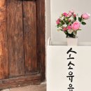 스테이유유 이미지