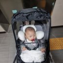 성모이비인후과의원 이미지