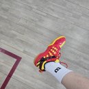 피닉스 | 스쿼시화 추천 프린스 피닉스 레드 실착 후기