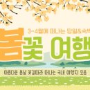 모아여행사