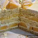 케렌시아캠핑장 이미지