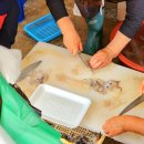 강릉시수산업협동조합(바다마트) 이미지