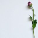 태흥종합건설(주) 이미지