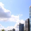 성일약품 이미지