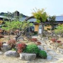 내고향삼겹살