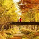 경주산림환경연구원 이미지