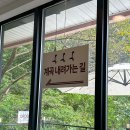 리틀포레 | 유럽 감성 가득한 양평 애견동반카페 계곡까지 있는 리틀포레 내돈내산후기