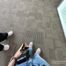 2025 국제 차문화 대전 마지막날 후기