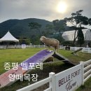 형제목장 | 증평ㅣ벨포레 리조트 양떼목장, 벨포레목장 주차정보 / cu편의점 멕시카나치킨 이용시간