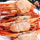 신흥수산 티스토리