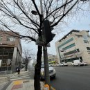 난곡동-51 이미지