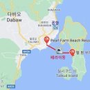 펄 팜 네이버블로그