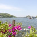 신정호관광지 이미지