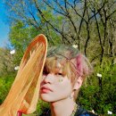 요정푸드 - 남구 월평로 244 | 요정푸드