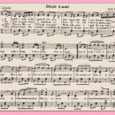 딕시랜드(dixieland) 이미지