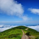 산천초목 이미지