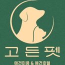 고든펫 네이버블로그