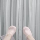 네일 노티스