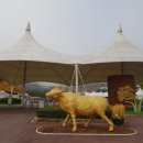 광성부동산중개사무소 이미지