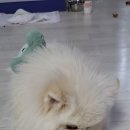 동인에스엠티