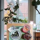 민하약국 이미지