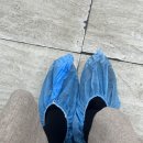 충남 | 2026학년도 임용 2차 후기 - 충남