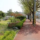 운산초등학교 옆 티스토리