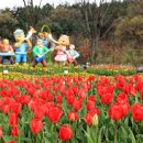 대전오월드 이미지