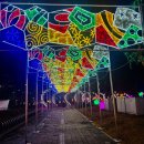 금강보행교 북측 공원 | 세종가볼만한곳 추천 금강보행교 이응다리 크리스마스 조명