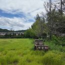 지례중학교구성분교장 이미지