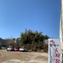 예향얼크니손칼국수 홍성점 네이버블로그