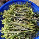 철이네농장 이미지