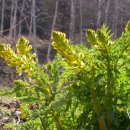 담지샘농장 이미지