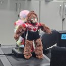 씨유 화도차산 | 알려드릴게요 제 9월 근황에 대해..