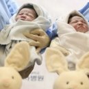 솔비타어린이집 이미지